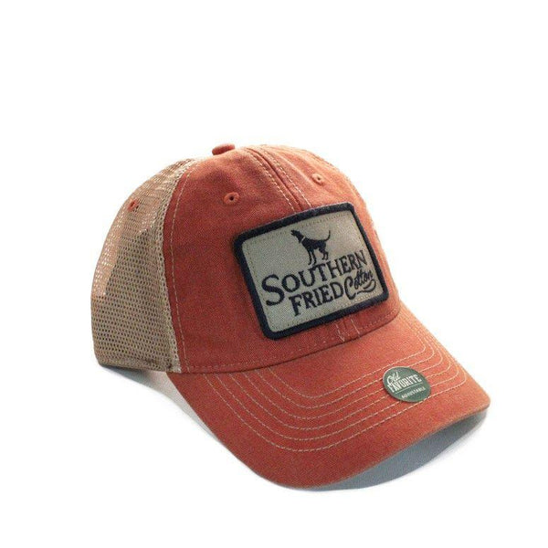 Old Favorite Hound (Multiple Colors)