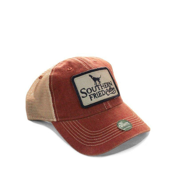 Old Favorite Hound (Multiple Colors)