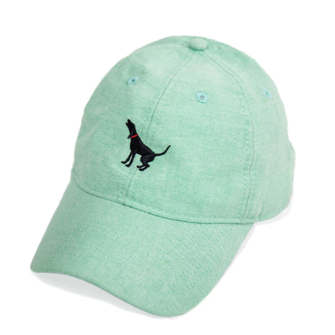 Stitched Hound Twill hat